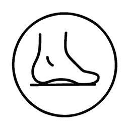 Normal arch diagram